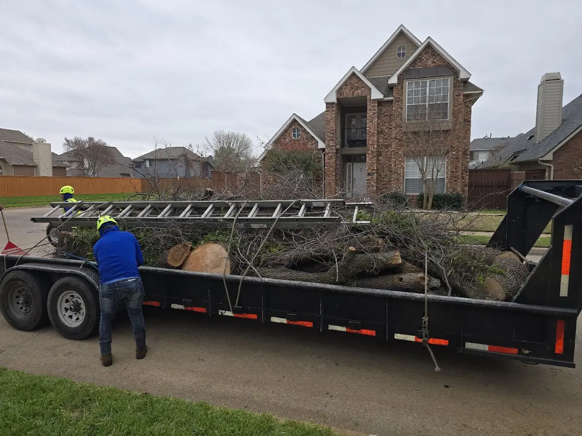 Expert Tree Fertilization with proper safety equipment in South Sioux City